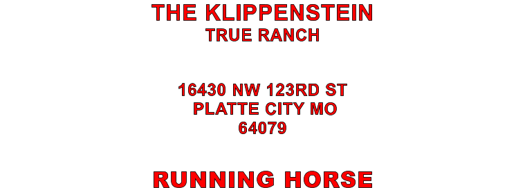 RUNNING HORSE 16430 NW 123RD ST  PLATTE CITY MO 64079 THE KLIPPENSTEIN TRUE RANCH