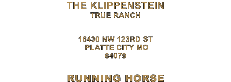 RUNNING HORSE 16430 NW 123RD ST  PLATTE CITY MO 64079 THE KLIPPENSTEIN TRUE RANCH