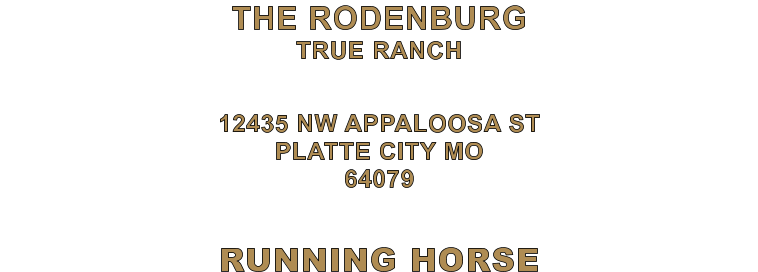 RUNNING HORSE 12435 NW APPALOOSA ST PLATTE CITY MO 64079 THE RODENBURG TRUE RANCH